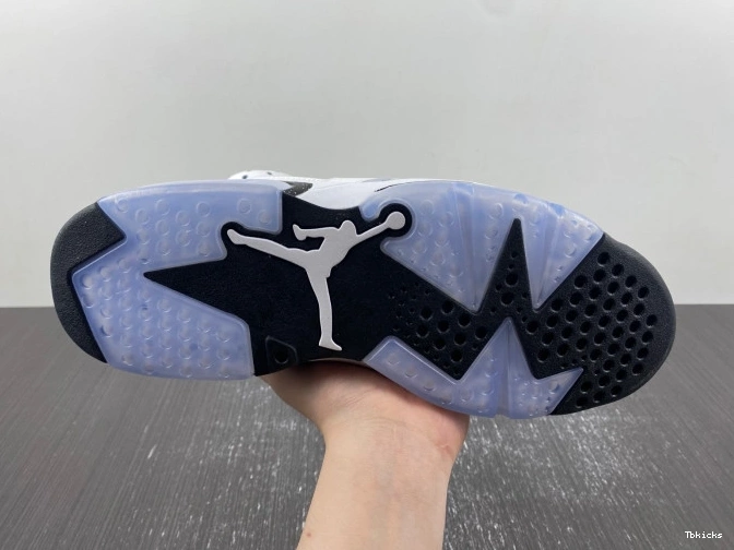 Reps TBK Reverse Jordan 6 Air CT8529-112 Oreo 0807